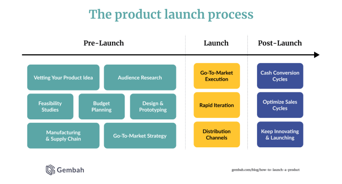 Developing Product Launch Plans