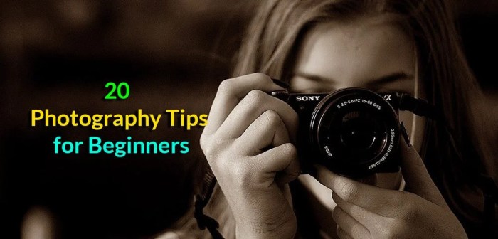 Photography Tips for Beginners